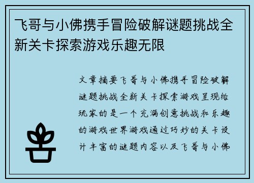 飞哥与小佛携手冒险破解谜题挑战全新关卡探索游戏乐趣无限